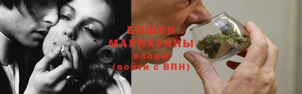 метадон Богданович