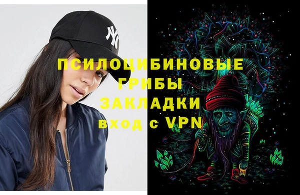 mix Бородино