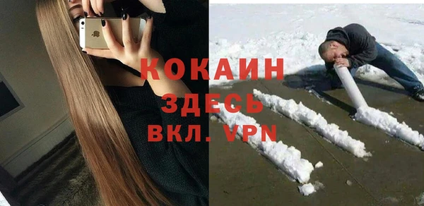 бошки Снежногорск