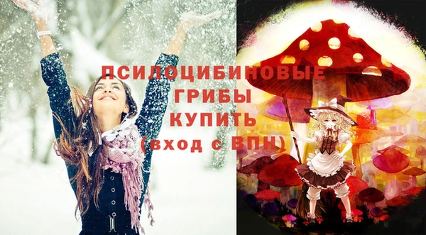 spice Богородицк