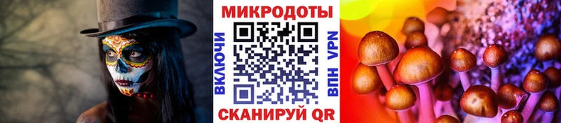 Псилоцибиновые грибы MAGIC MUSHROOMS  Санкт-Петербург 